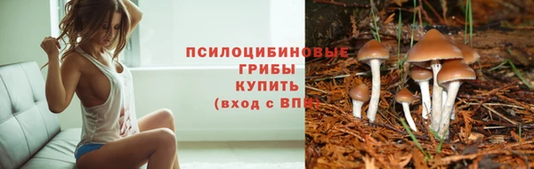 трава Абдулино